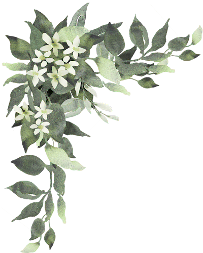 Flores de decoración